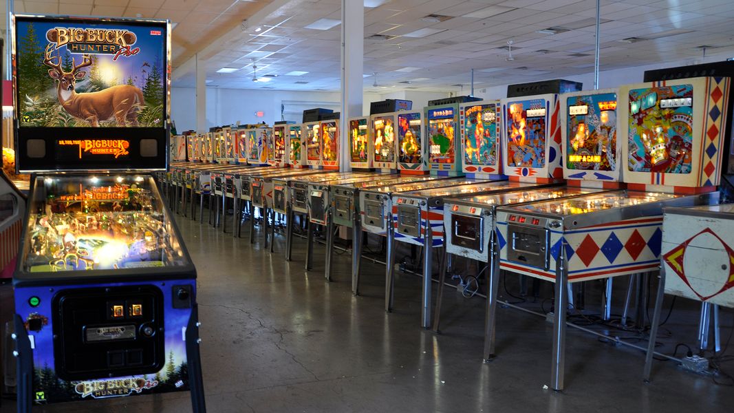 Flipperpalast beim Festival Image